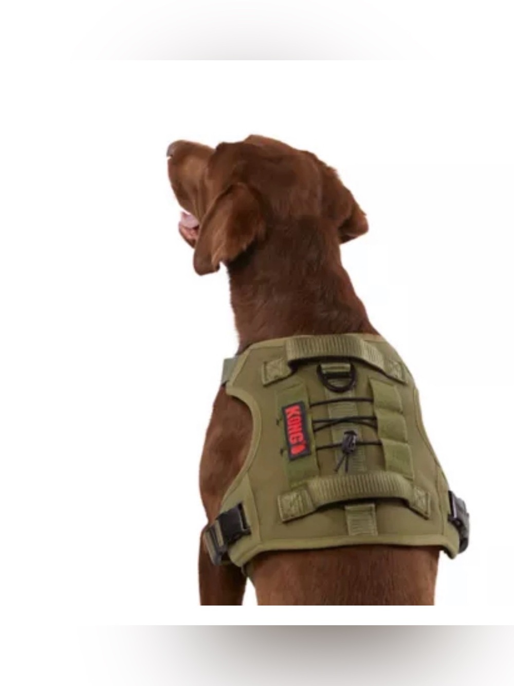 Kong Olive Green Tactical Dog Harness with MOLLE Webbing